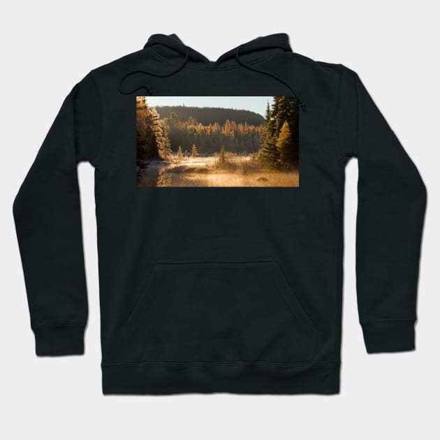 Costello Creek, Algonquin Park Hoodie by Jim Cumming